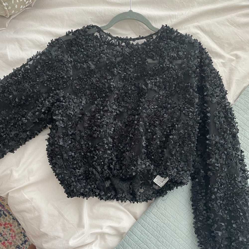 Zara sheer organza textured top
